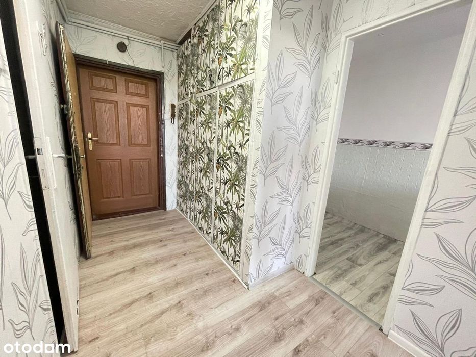 Dwa pokoje│mieszkanie do aranżacji│piękny widok na las│37m² - Widok 5
