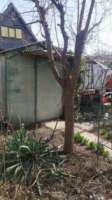 Продаю дачу у Тернівському районі