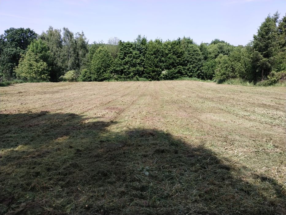 Działka budowlana 37a, Miedzyrzecze Dolne