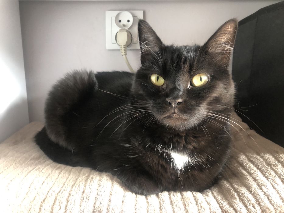 „Jutro wracam do azylu… Czy znajdzie się jeszcze dla mnie dom?”