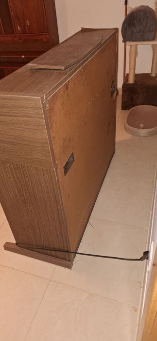 Órgão eletrónico GEM Wizard