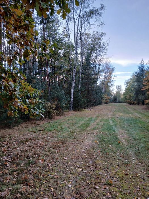 Działki Rżyska gmina Radzymin