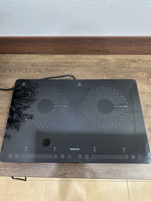 Індукційна пліта