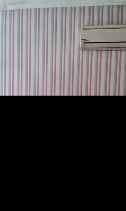 Aplicador de papel de parede  e vinilicos