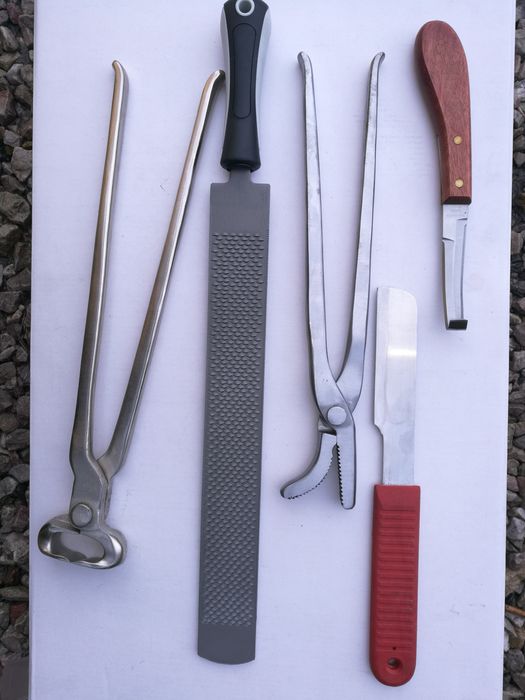 Sprzęt kowalski zestaw