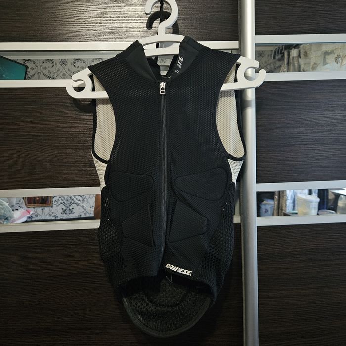 Мото захист спини Dainese wr pro 2