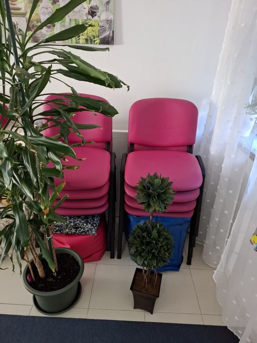 4 cadeiras Roma, como novas:  100€ ou 3 lotes (12cadeiras=300 euros))
