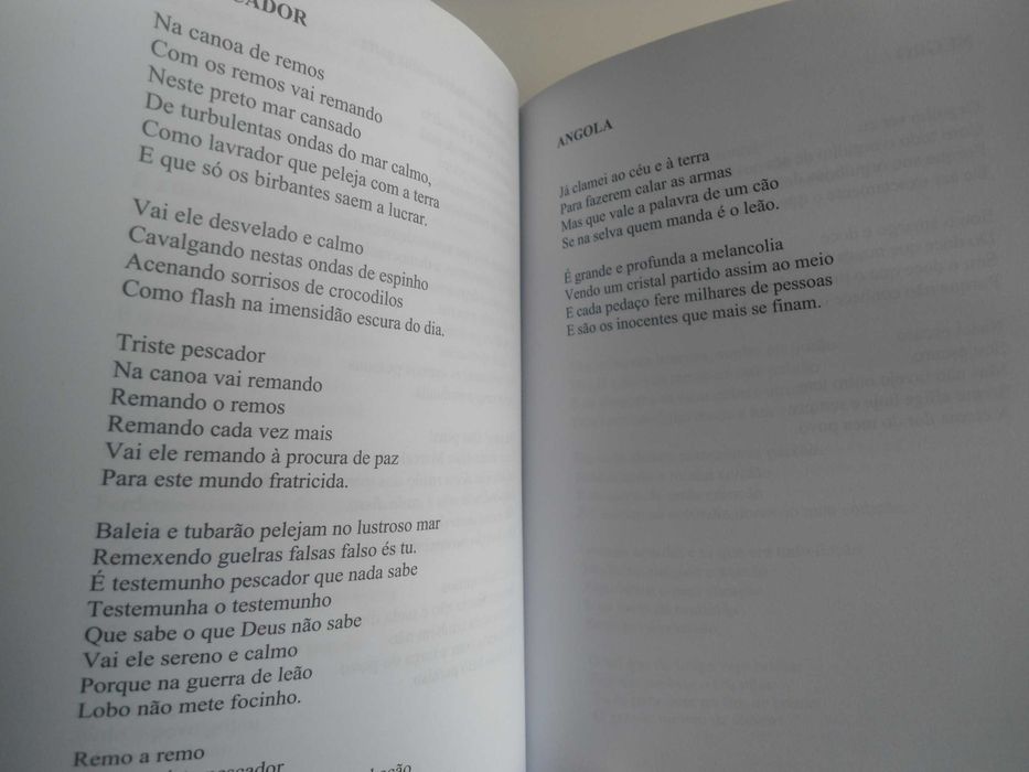 Lágrimas sem fim por Adilson dos Ramos Pinto