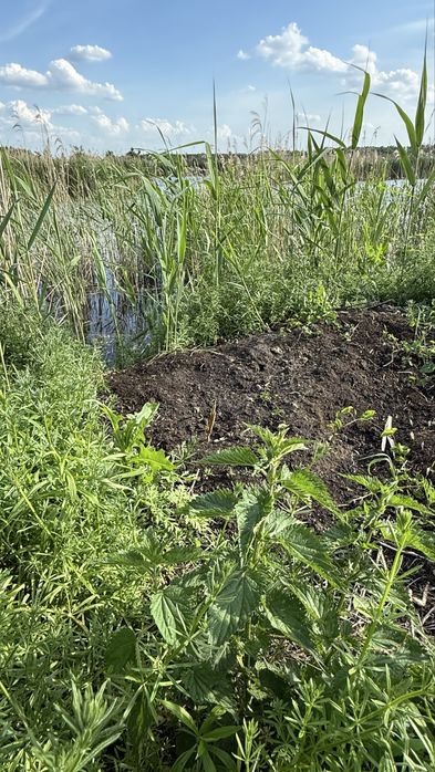 Ділянка 8 га, с. Романків, Підгірці, Київська область