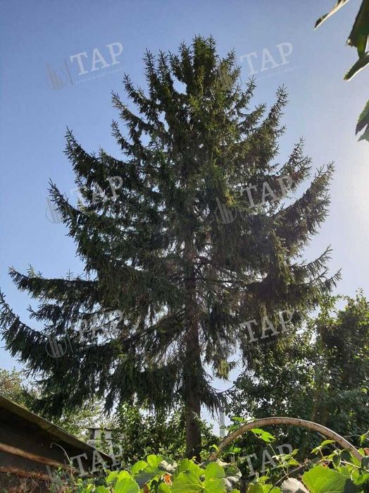 Без % агентству. Продам дом на Москалёвке, улица Новодесятисаженная