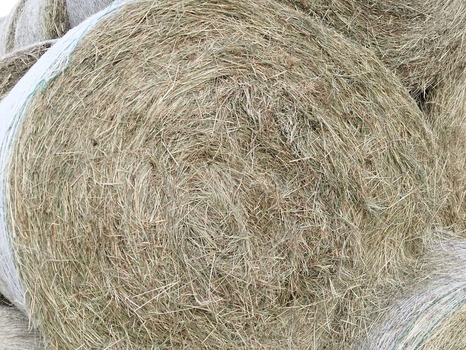 Siano w bekach 120 na 120