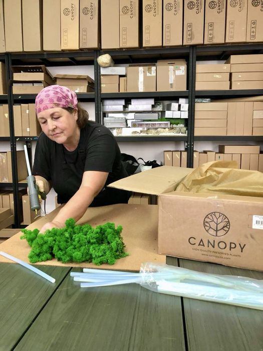 Фитопано з Моху. Панелі з Моху