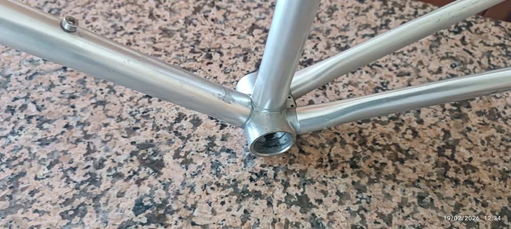 Quadro vitus  1 geração