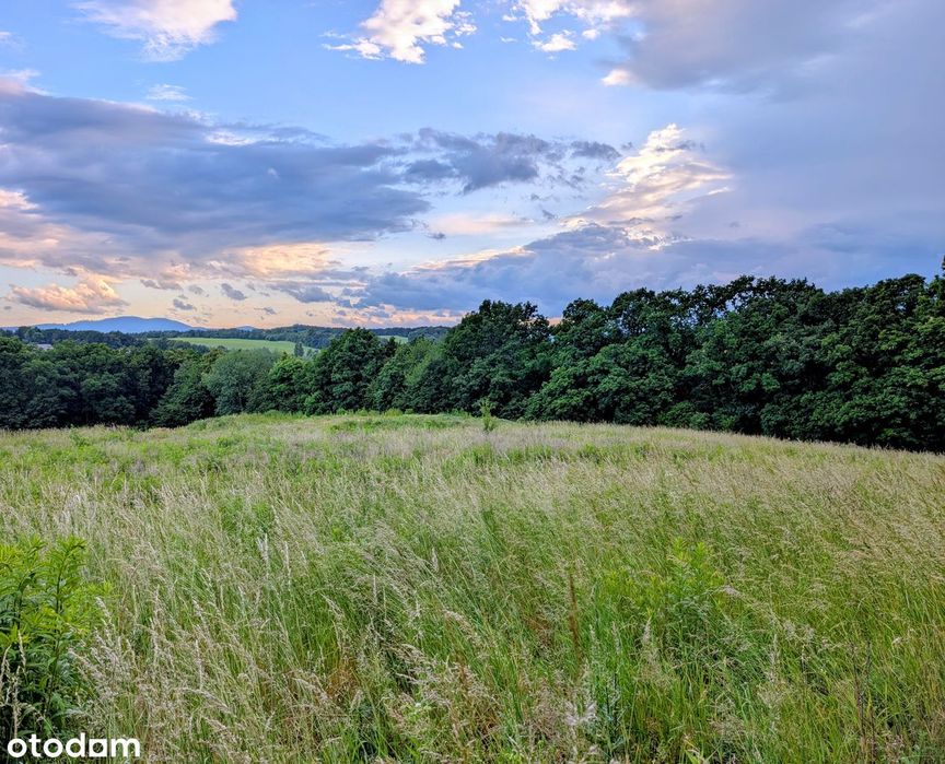 Wyjątkowa działka widokowa pod lasem – Cieszów. Gotowa pod budowę!