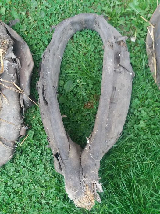Stare homonta duze i małe homonto Sulechów • OLX.pl