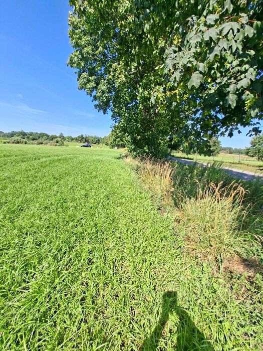 Mrągowo/Gązwa ,Działka 4000 m² | Media | Dojazd asfalt |