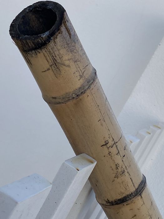 Cana Bambu 4’’ grand