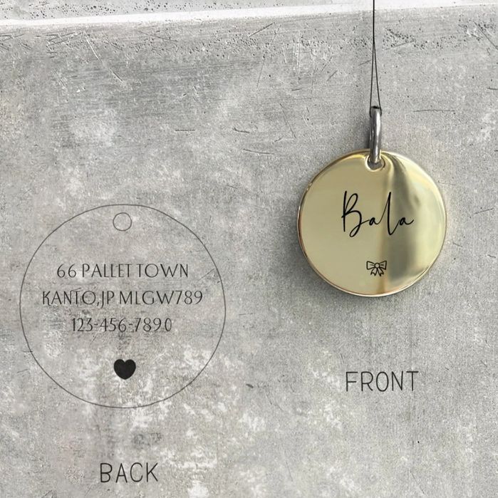 Pet Name Tag Dog Cat placa de identificação para cães e gatos