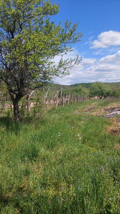 Будинок в селі Ляхівці