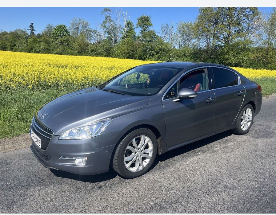 Peugeot 508 Piekny Peugeot 508