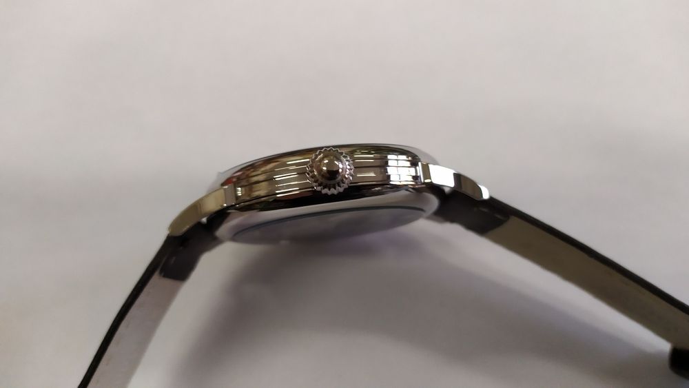 Mołnia pasówka pilot