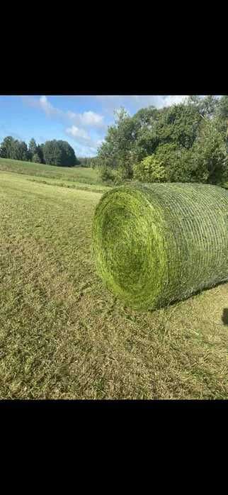 Kukurydza sianokiszonka siano słoma w belach lucerna koniczyna