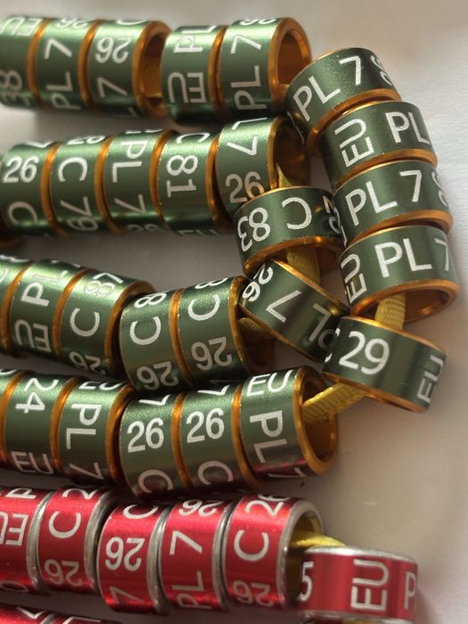 Metalowe obraczki dla gołębi ozdobnych 7mm i 8 mm na 2026r