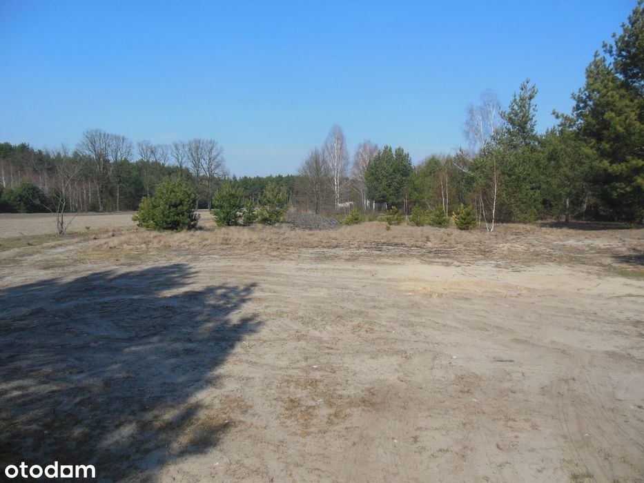 Działka 7696 m² z mediami w spokojnej okolicy - Widok 3