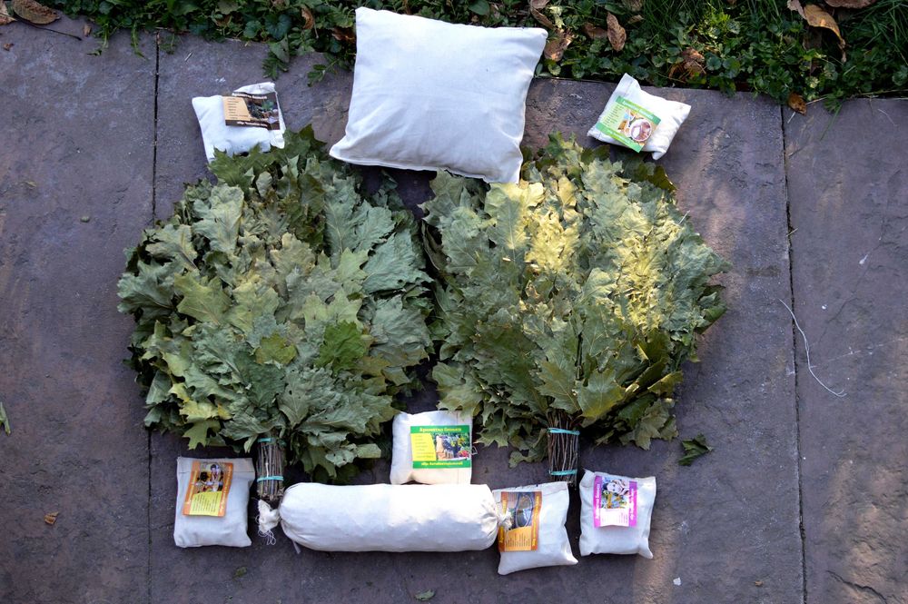 Канадський дуб. Веники. Банні віники. Канадский дуб.