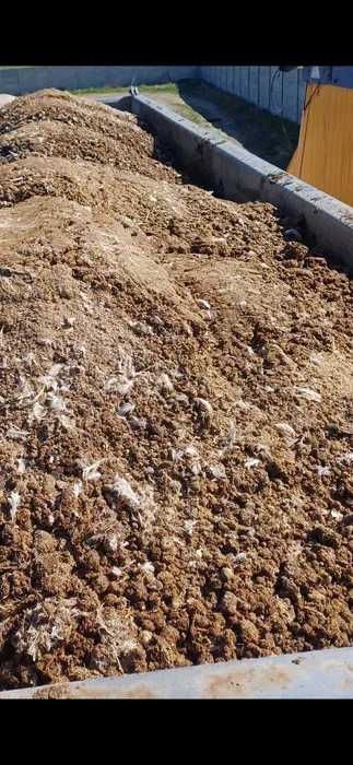 Obornik kurzy bobek i poferment(obornik kurzy+gnojowica)