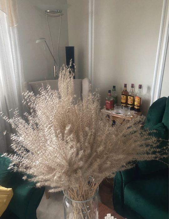 ozdoby trawa pompasowa HOME&YOU