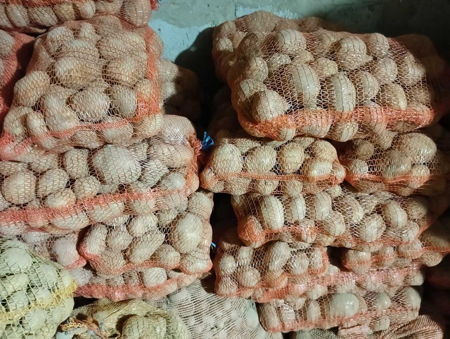 Ziemniaki soraja i denar