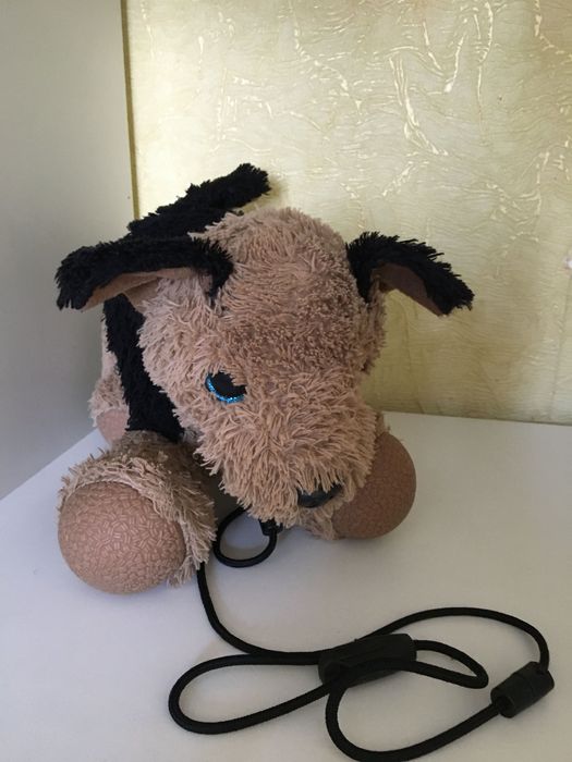 М’яка іграшка з якою можно гуляти на вулиці