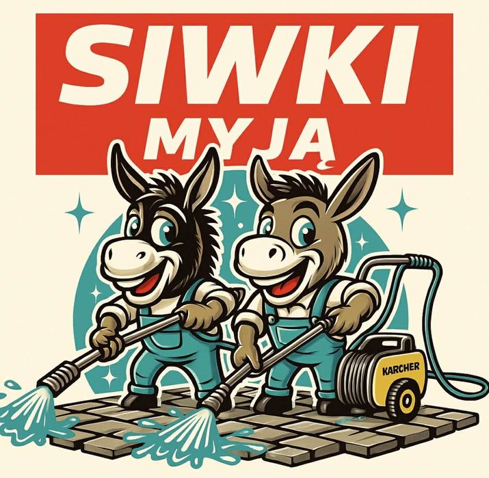 Mycie ciśnieniowe dachów, elewacji, kostki brukowej, ogrodzeń