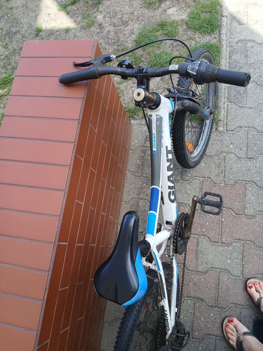 Rower dziecięcy Giant koła 20"