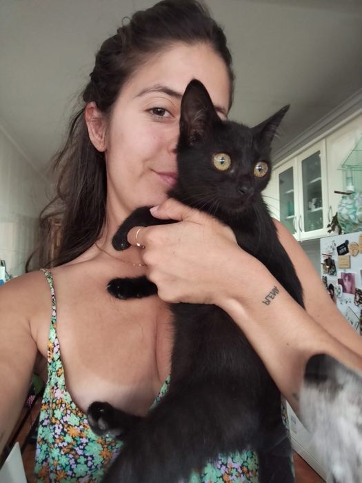 Gatas meigas 4 meses