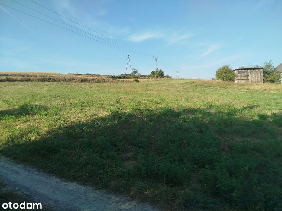 Działka Rolna Z Warunkami Zabudowy – Jędrzejowice, Gm. Bodzechów - Widok 4