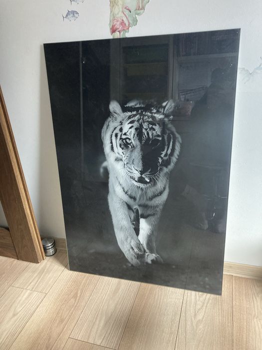 Obraz  szklany   …………