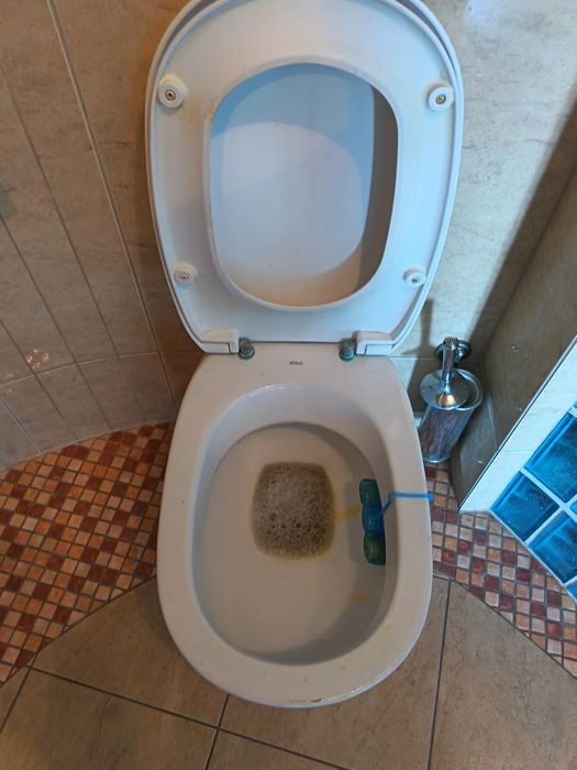 Sedes muszla podwieszana duża KOŁO