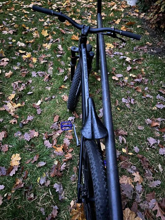 rower górski / dartmoor primal