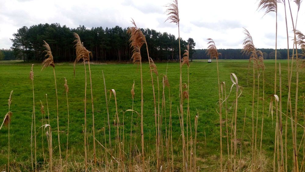 Wyjątkowa działka nad rzeką gmina Wolsztyn