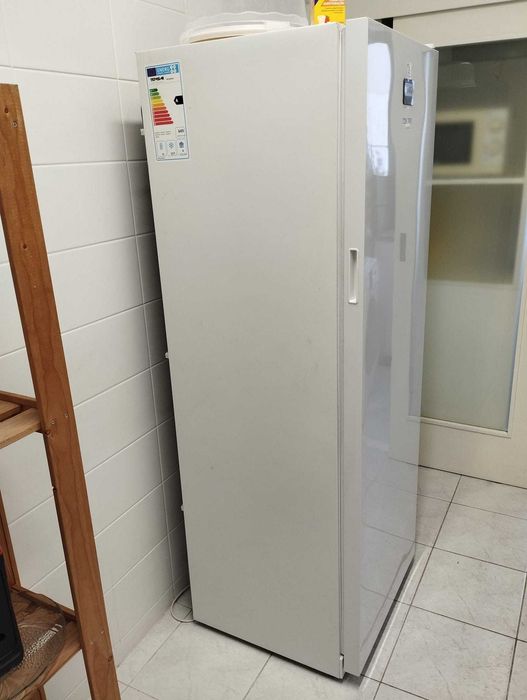 Arca Congelador Vertical TENSAI FRZ350SD+ [] BAIXEI!
