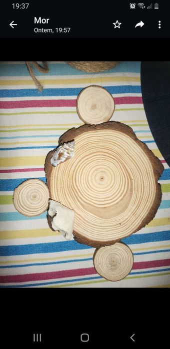 Decoracao de vasos com cactos e soculentas