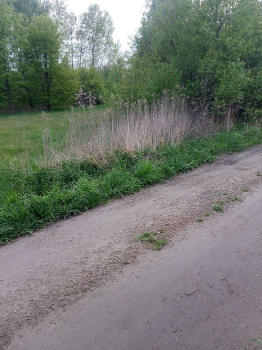 Koszenie trawy, nieużytków