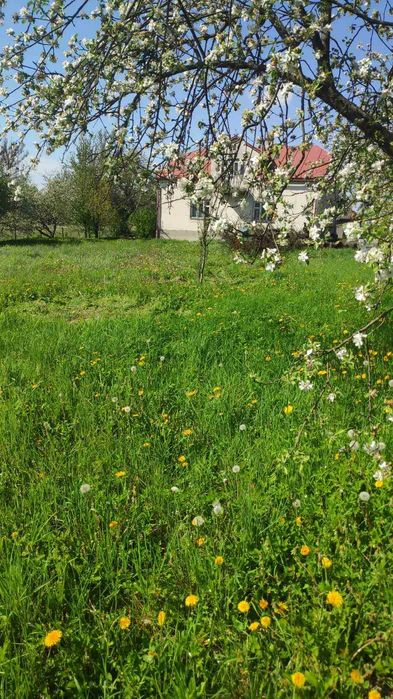Продається житловий будинок в селі Будьків Давидівської ОТГ