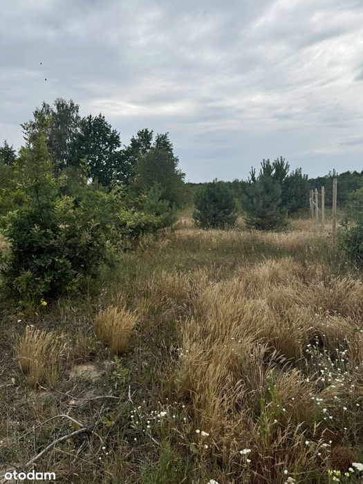 Działka 3000 m² przy lesie z mediami