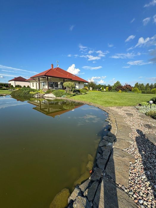 Kompleksowe uslugi ogrodnicze - Zieleń - Brukarstwo