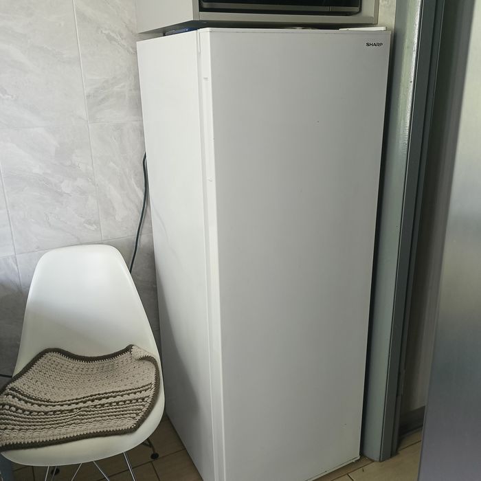 Морозильна камера Sharp SJ-S1182E2W-UA