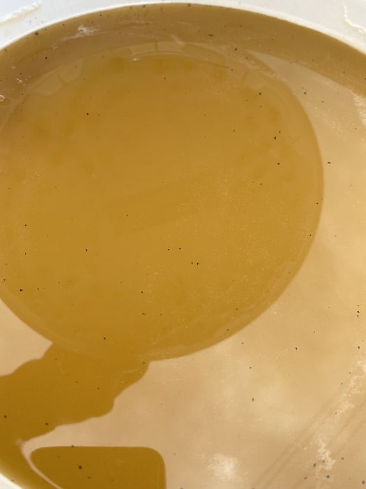 Sprzedam miód słonecznikowy cena 13,50 zł
