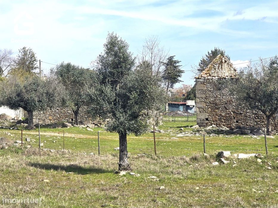 Terreno Para Construção  Venda em Alcains,Castelo Branco